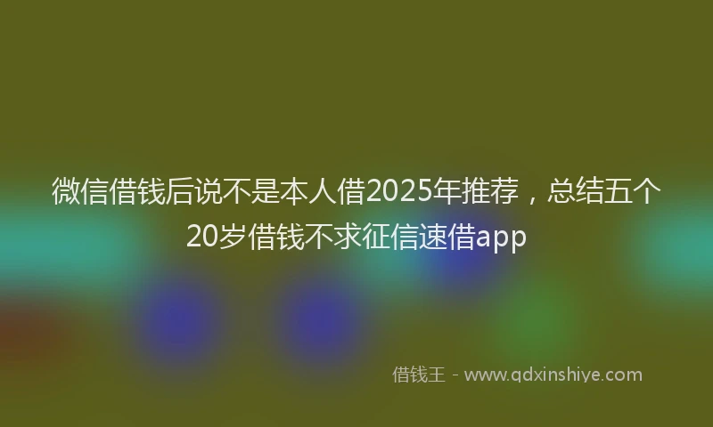 微信借钱后说不是本人借2025年推荐，总结五个20岁借钱不求征信速借app