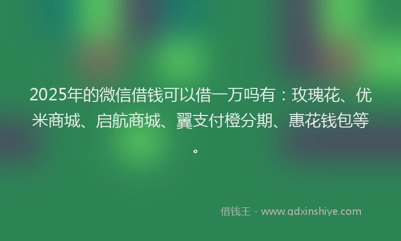 2025年的微信借钱可以借一万吗有：玫瑰花、优米商城、启航商城、翼支付橙分期、惠花钱包等。