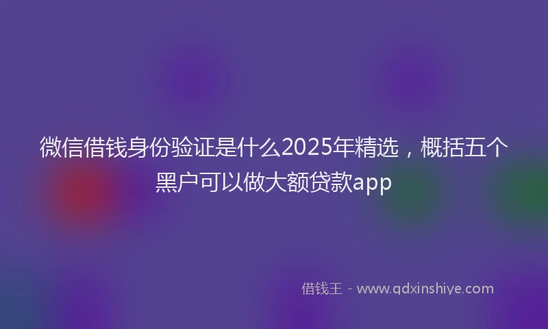 微信借钱身份验证是什么2025年精选，概括五个黑户可以做大额贷款app
