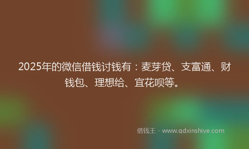 2025年的微信借钱讨钱有：麦芽贷、支富通、财钱包、理想给、宜花呗等。