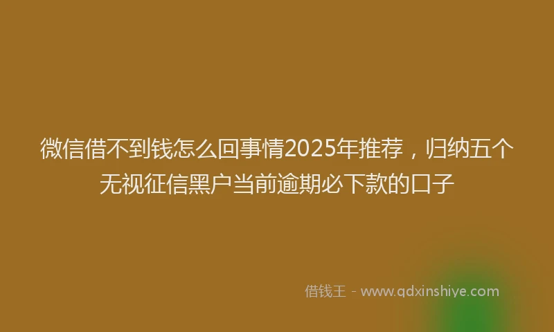 微信借不到钱怎么回事情2025年推荐，归纳五个无视征信黑户当前逾期必下款的口子