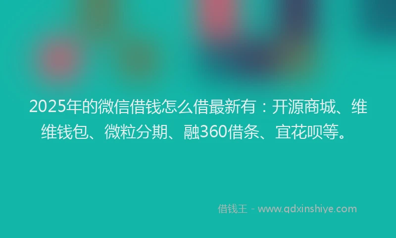 2025年的微信借钱怎么借最新有：开源商城、维维钱包、微粒分期、融360借条、宜花呗等。