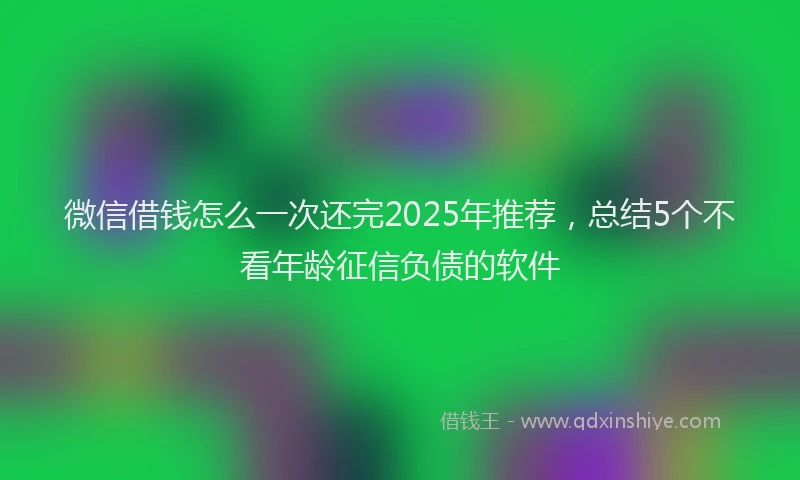 微信借钱怎么一次还完2025年推荐，总结5个不看年龄征信负债的软件
