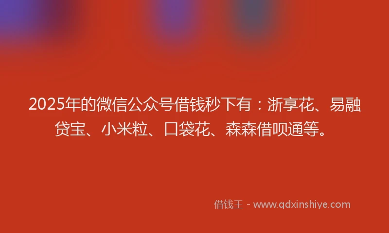 2025年的微信公众号借钱秒下有：浙享花、易融贷宝、小米粒、口袋花、森森借呗通等。
