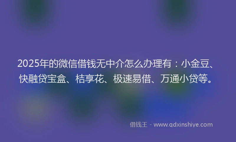 2025年的微信借钱无中介怎么办理有：小金豆、快融贷宝盒、桔享花、极速易借、万通小贷等。