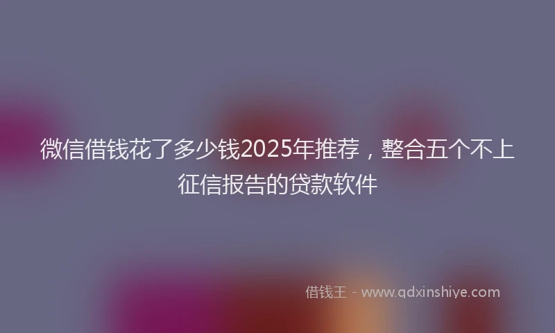 微信借钱花了多少钱2025年推荐，整合五个不上征信报告的贷款软件