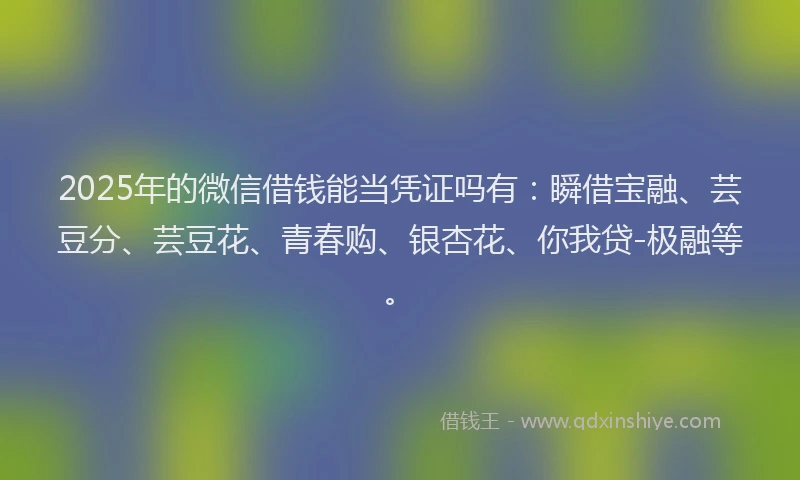 2025年的微信借钱能当凭证吗有：瞬借宝融、芸豆分、芸豆花、青春购、银杏花、你我贷-极融等。