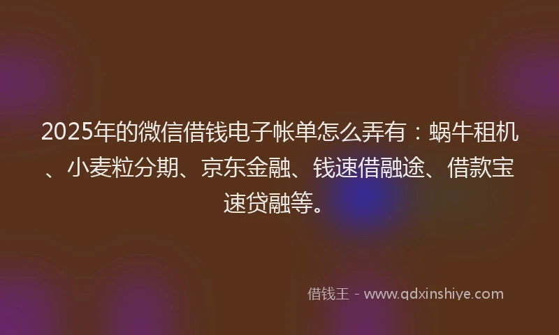 2025年的微信借钱电子帐单怎么弄有：蜗牛租机、小麦粒分期、京东金融、钱速借融途、借款宝速贷融等。