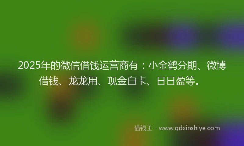 2025年的微信借钱运营商有：小金鹤分期、微博借钱、龙龙用、现金白卡、日日盈等。