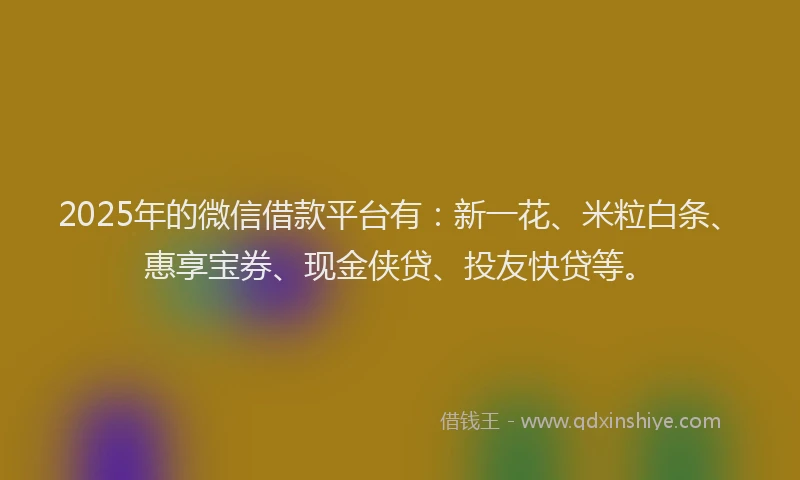 2025年的微信借款平台有：新一花、米粒白条、惠享宝券、现金侠贷、投友快贷等。