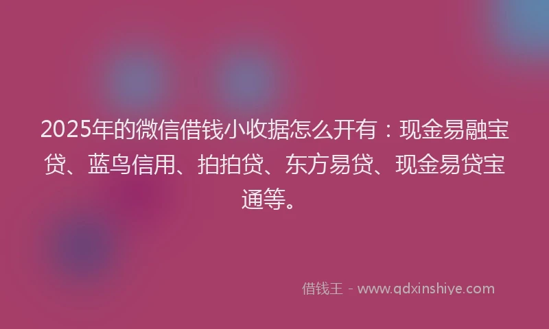 2025年的微信借钱小收据怎么开有：现金易融宝贷、蓝鸟信用、拍拍贷、东方易贷、现金易贷宝通等。