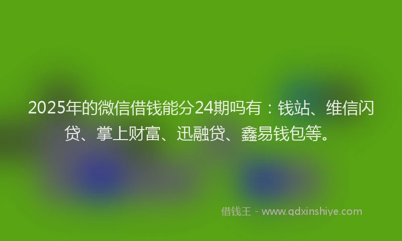 2025年的微信借钱能分24期吗有：钱站、维信闪贷、掌上财富、迅融贷、鑫易钱包等。