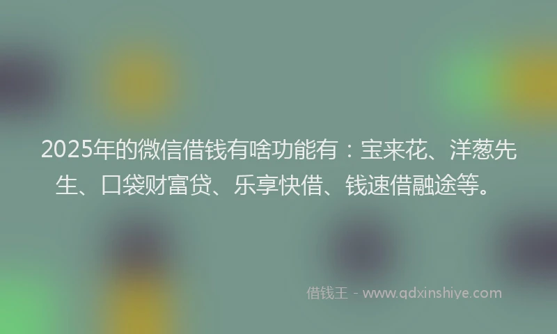 2025年的微信借钱有啥功能有：宝来花、洋葱先生、口袋财富贷、乐享快借、钱速借融途等。