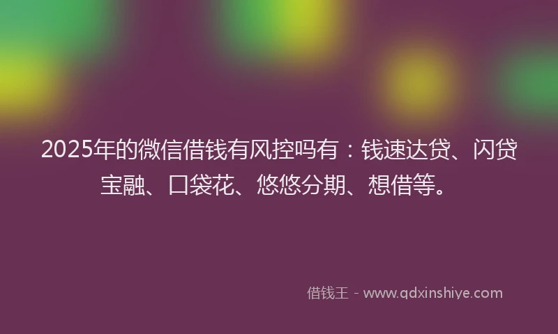 2025年的微信借钱有风控吗有：钱速达贷、闪贷宝融、口袋花、悠悠分期、想借等。