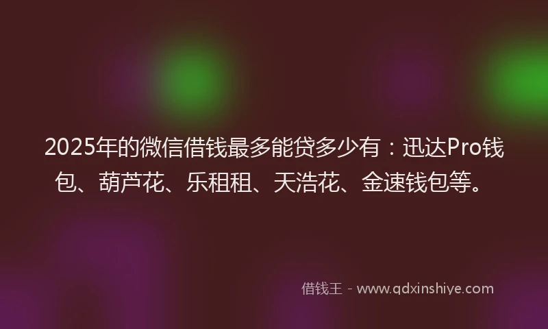 2025年的微信借钱最多能贷多少有：迅达Pro钱包、葫芦花、乐租租、天浩花、金速钱包等。