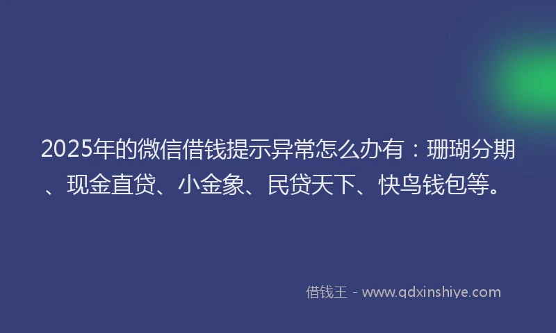 2025年的微信借钱提示异常怎么办有：珊瑚分期、现金直贷、小金象、民贷天下、快鸟钱包等。