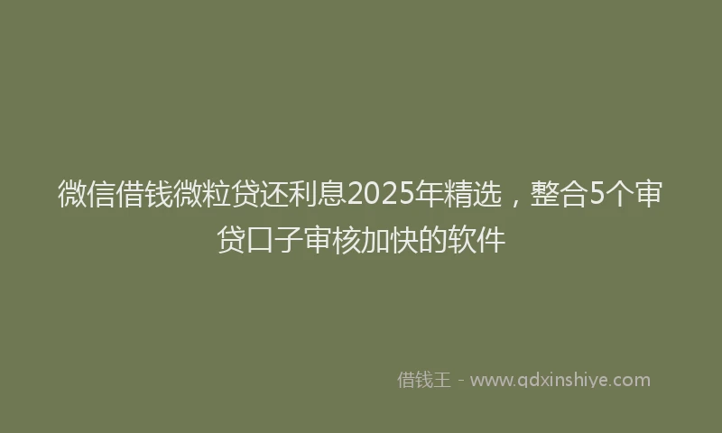 微信借钱微粒贷还利息2025年精选，整合5个审贷口子审核加快的软件