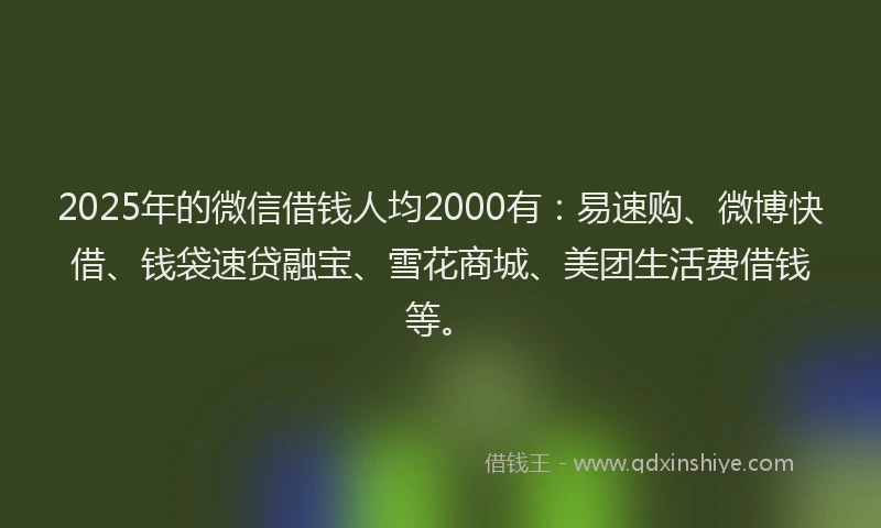 2025年的微信借钱人均2000有：易速购、微博快借、钱袋速贷融宝、雪花商城、美团生活费借钱等。