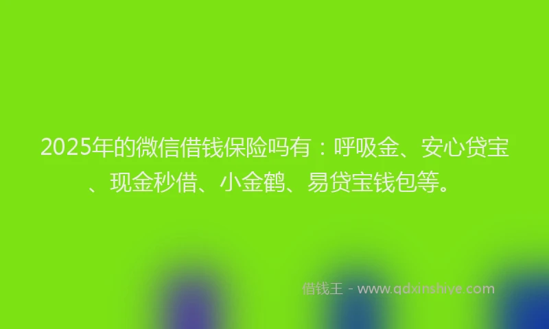 2025年的微信借钱保险吗有：呼吸金、安心贷宝、现金秒借、小金鹤、易贷宝钱包等。