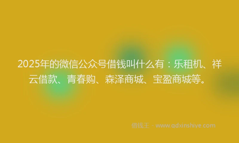 2025年的微信公众号借钱叫什么有：乐租机、祥云借款、青春购、森泽商城、宝盈商城等。