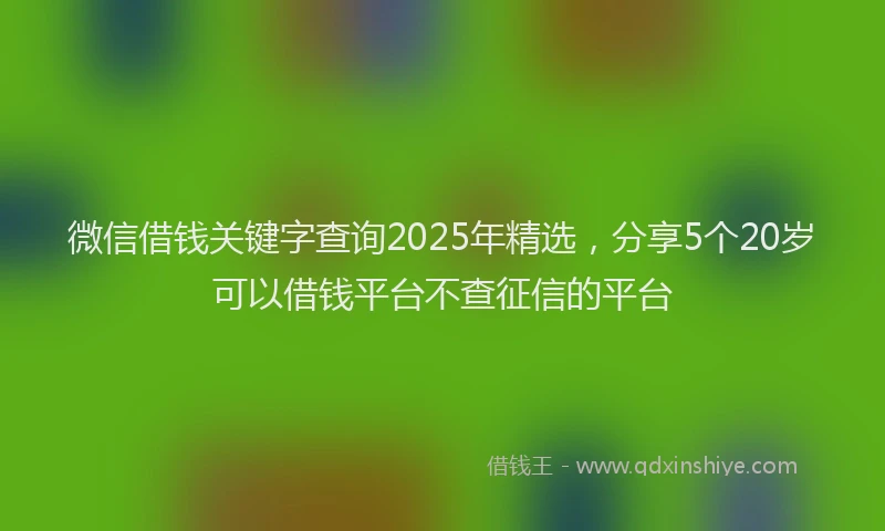 微信借钱关键字查询2025年精选，分享5个20岁可以借钱平台不查征信的平台