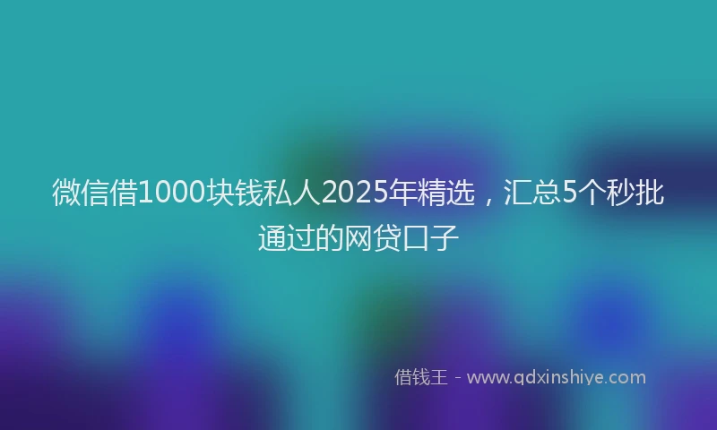 微信借1000块钱私人2025年精选，汇总5个秒批通过的网贷口子