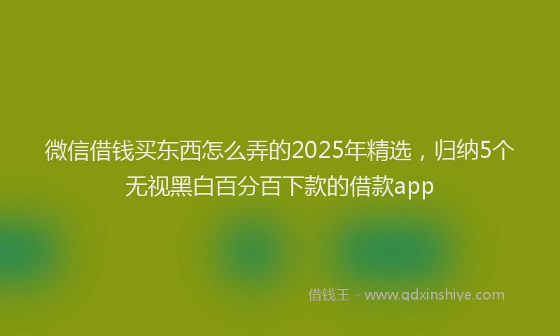 微信借钱买东西怎么弄的2025年精选，归纳5个无视黑白百分百下款的借款app
