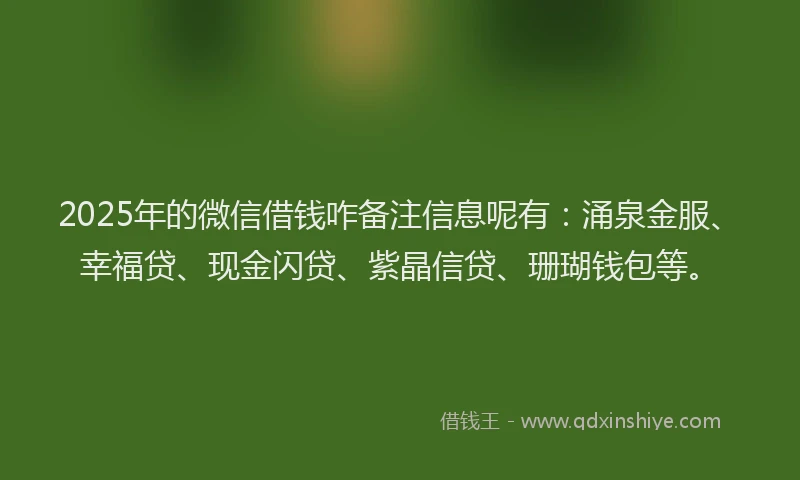 2025年的微信借钱咋备注信息呢有：涌泉金服、幸福贷、现金闪贷、紫晶信贷、珊瑚钱包等。