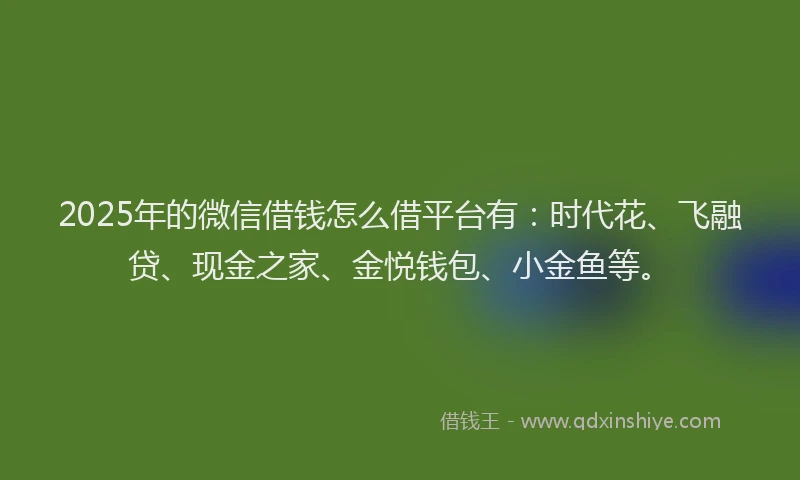 2025年的微信借钱怎么借平台有：时代花、飞融贷、现金之家、金悦钱包、小金鱼等。