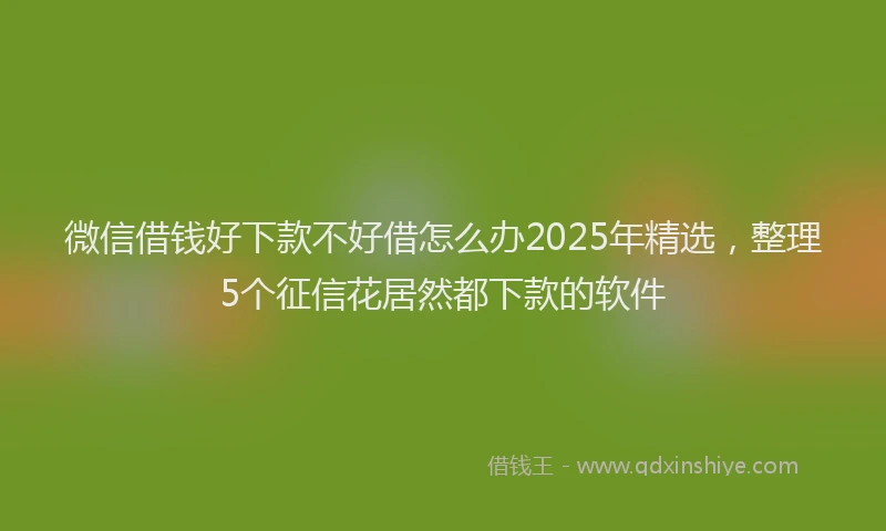 微信借钱好下款不好借怎么办2025年精选，整理5个征信花居然都下款的软件