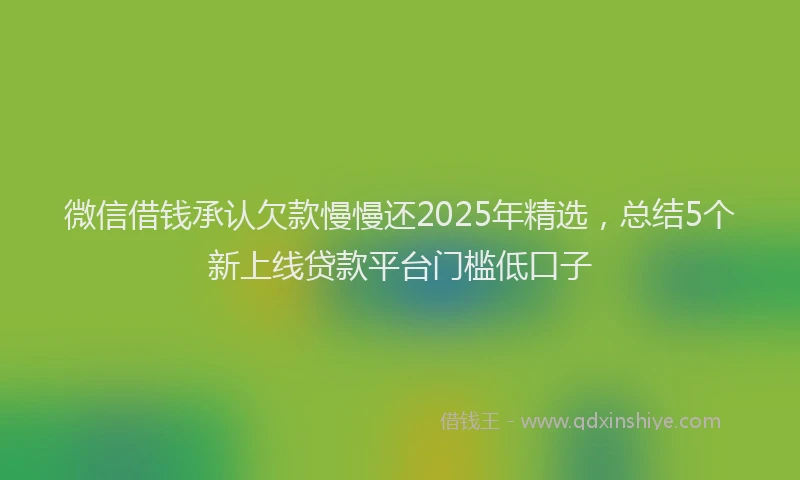 微信借钱承认欠款慢慢还2025年精选，总结5个新上线贷款平台门槛低口子