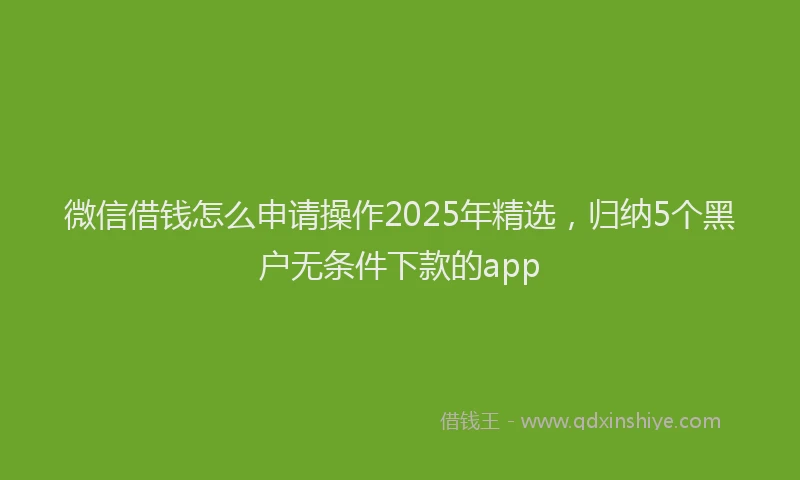 微信借钱怎么申请操作2025年精选，归纳5个黑户无条件下款的app