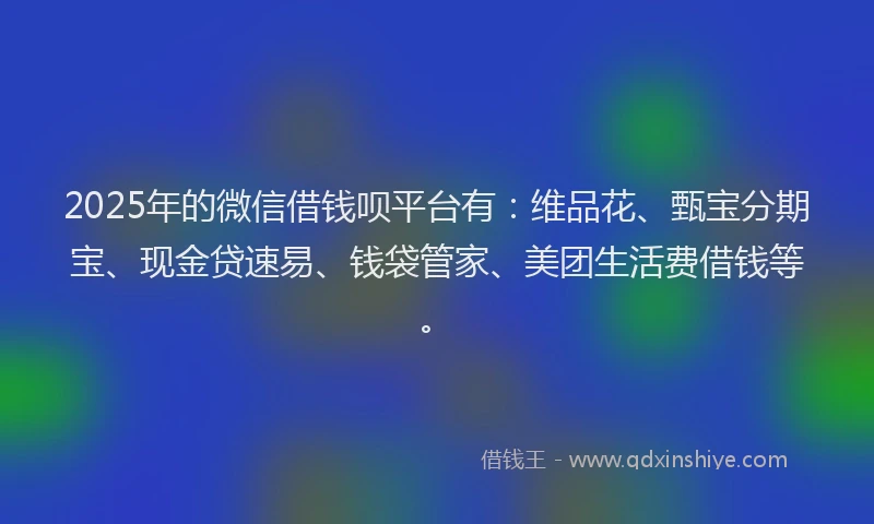 2025年的微信借钱呗平台有：维品花、甄宝分期宝、现金贷速易、钱袋管家、美团生活费借钱等。
