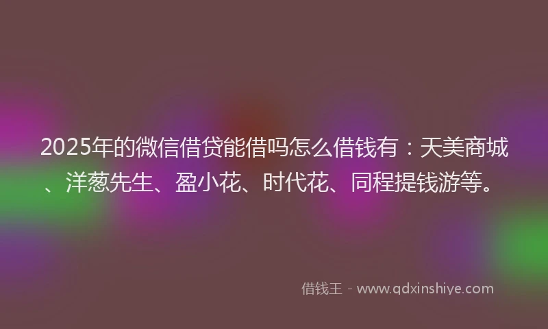 2025年的微信借贷能借吗怎么借钱有：天美商城、洋葱先生、盈小花、时代花、同程提钱游等。