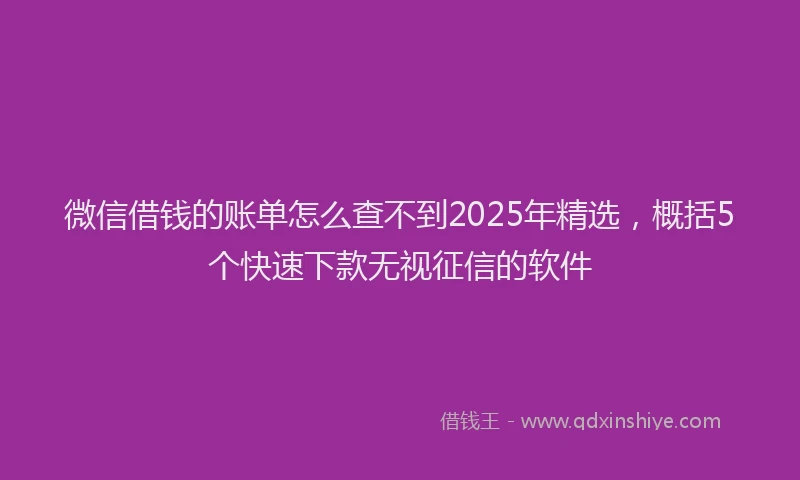 微信借钱的账单怎么查不到2025年精选，概括5个快速下款无视征信的软件