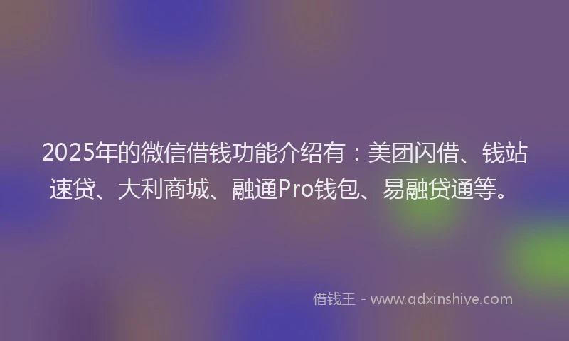 2025年的微信借钱功能介绍有：美团闪借、钱站速贷、大利商城、融通Pro钱包、易融贷通等。