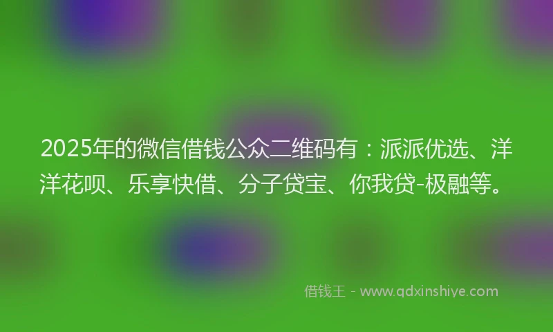 2025年的微信借钱公众二维码有：派派优选、洋洋花呗、乐享快借、分子贷宝、你我贷-极融等。
