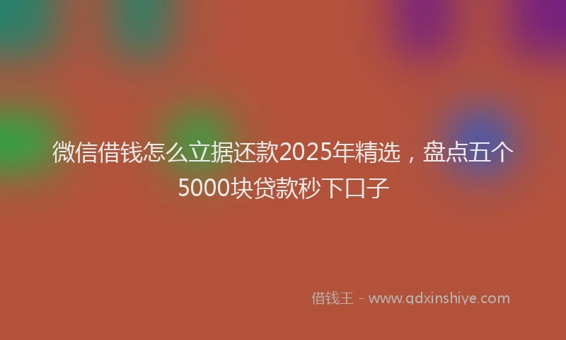 微信借钱怎么立据还款2025年精选，盘点五个5000块贷款秒下口子