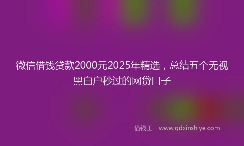 微信借钱贷款2000元2025年精选，总结五个无视黑白户秒过的网贷口子
