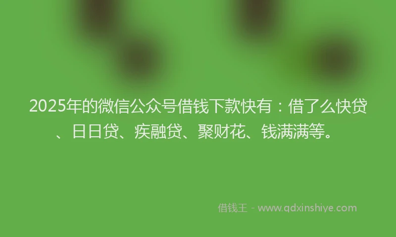 2025年的微信公众号借钱下款快有：借了么快贷、日日贷、疾融贷、聚财花、钱满满等。