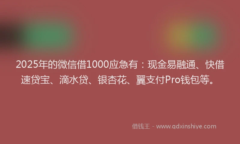 2025年的微信借1000应急有：现金易融通、快借速贷宝、滴水贷、银杏花、翼支付Pro钱包等。