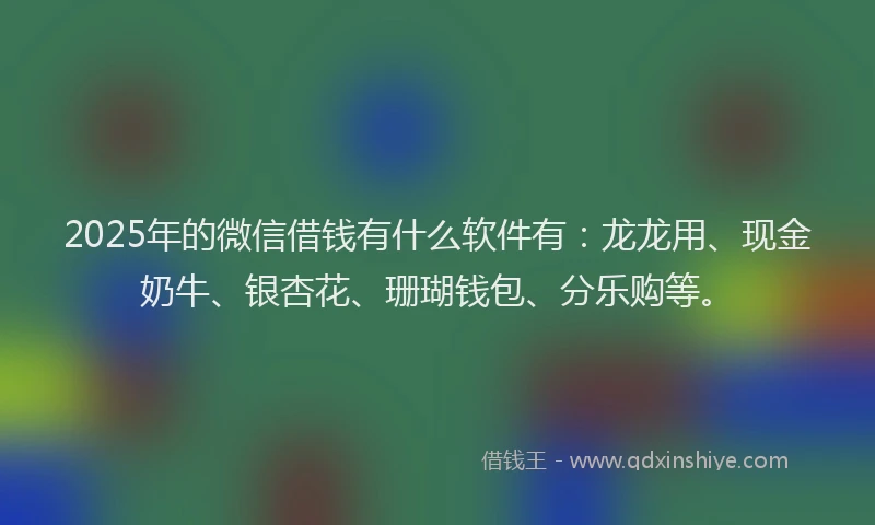 2025年的微信借钱有什么软件有：龙龙用、现金奶牛、银杏花、珊瑚钱包、分乐购等。