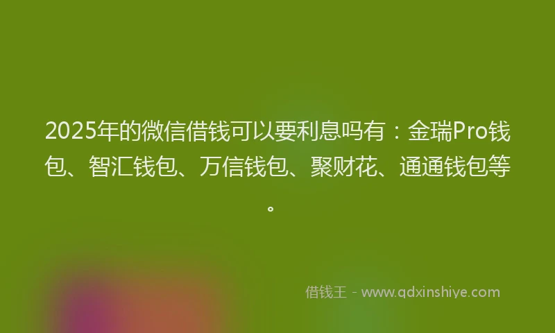 2025年的微信借钱可以要利息吗有：金瑞Pro钱包、智汇钱包、万信钱包、聚财花、通通钱包等。