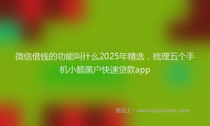微信借钱的功能叫什么2025年精选，梳理五个手机小额黑户快速贷款app