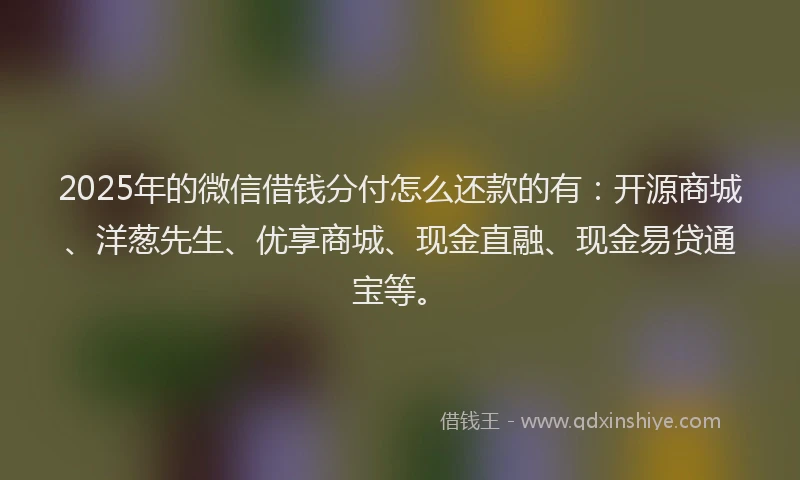 2025年的微信借钱分付怎么还款的有：开源商城、洋葱先生、优享商城、现金直融、现金易贷通宝等。
