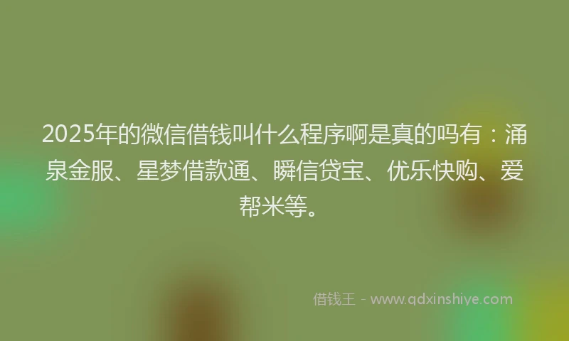 2025年的微信借钱叫什么程序啊是真的吗有：涌泉金服、星梦借款通、瞬信贷宝、优乐快购、爱帮米等。