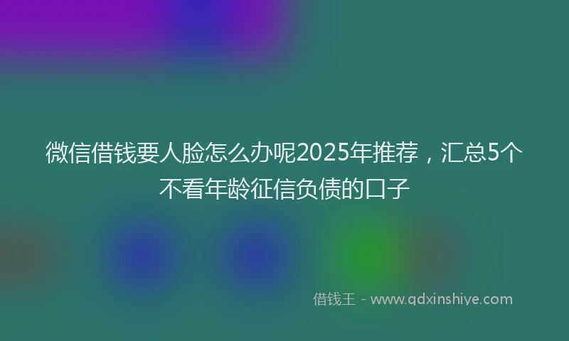 微信借钱要人脸怎么办呢2025年推荐，汇总5个不看年龄征信负债的口子