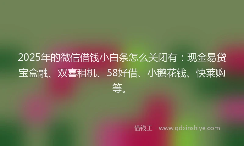 2025年的微信借钱小白条怎么关闭有：现金易贷宝盒融、双喜租机、58好借、小鹅花钱、快莱购等。