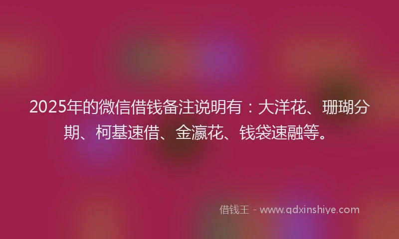 2025年的微信借钱备注说明有：大洋花、珊瑚分期、柯基速借、金瀛花、钱袋速融等。
