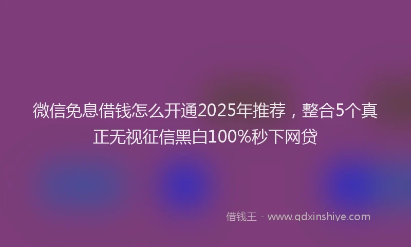 微信免息借钱怎么开通2025年推荐，整合5个真正无视征信黑白100%秒下网贷